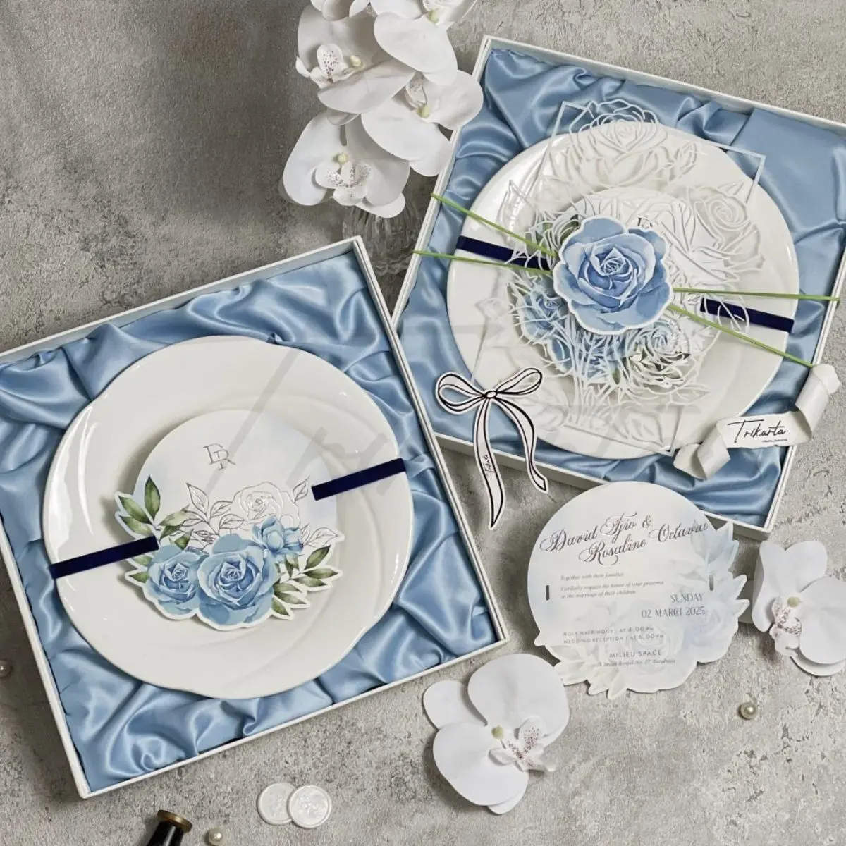 Dinner Plate Rose
