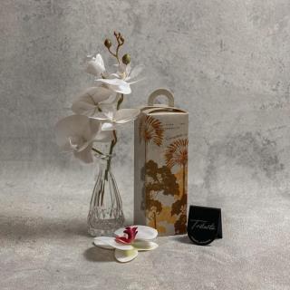 Softbox PF
